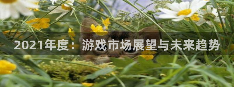 新宝GG子 到底怎么样：2021年度：游戏市场展望与未来趋势
