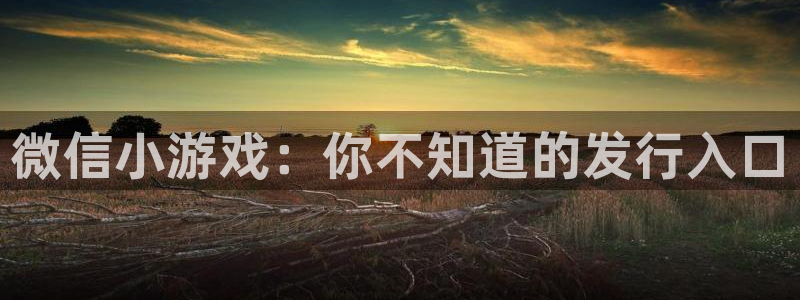 新宝GG技术有限公司招聘