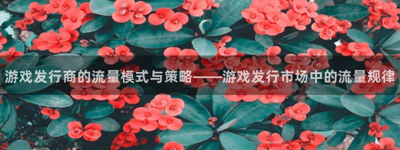 新宝GG品牌服装：游戏发行商的流量模式与策略——游戏发行市场中的流量规律