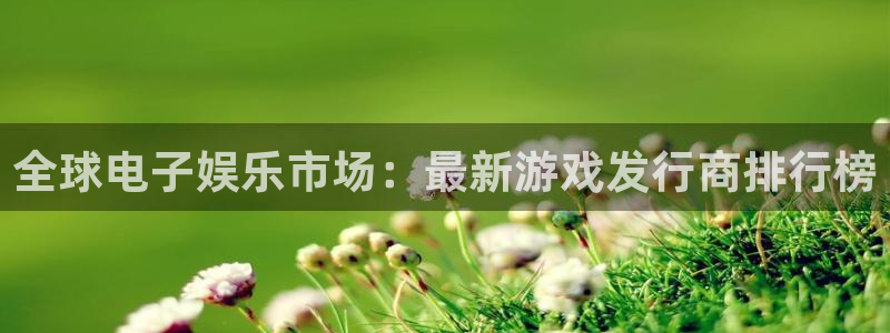 新宝GG子公司怎么样可靠吗：全球电子娱乐市场：最新游戏发行商排行榜