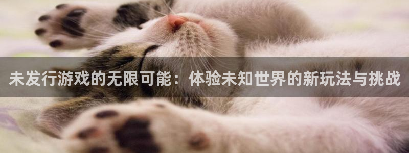 新宝GG官网客服怎么样