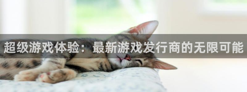 新宝GG官网注册方法视频下载：超级游戏体验：最新游戏发行商的无限可能