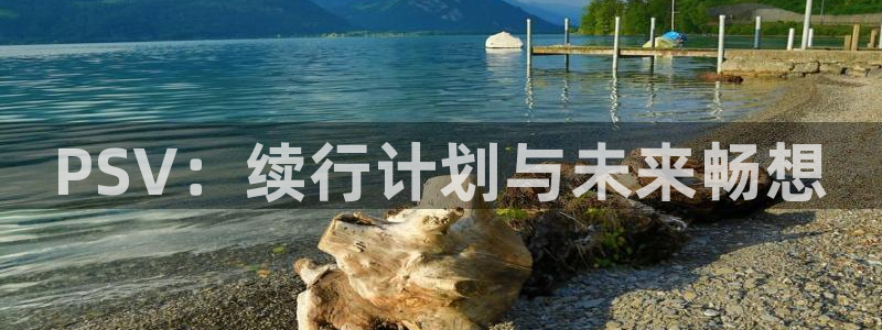 东莞新宝GG信息科技有限公司