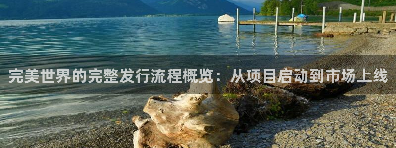 新宝GG子文化创意有限公司特邀玩家：完美世界的完整发行流程概览：从项目启动到市场上线