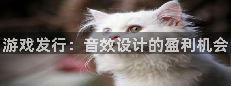新宝GG官网注册平台怎么注册：游戏发行：音效设计的盈利机会