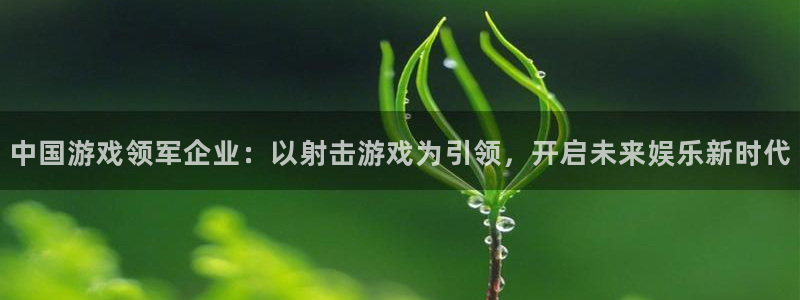 四川新宝GG科技有限公司怎么样：中国游戏领军企业：以射击游戏为引领，开启未来娱乐新时代