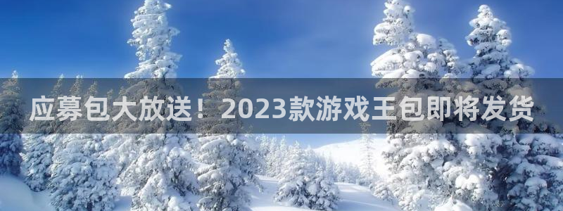 新宝GG图片：应募包大放送！2023款游戏王包即将发货