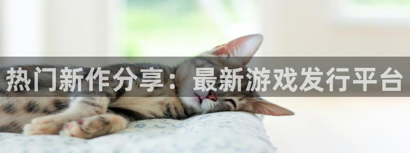 新宝GGlvnces是什么档次