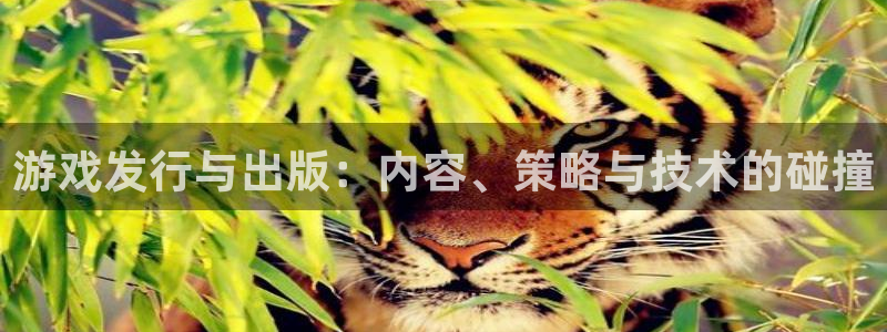 新宝GG智邦(北京)品牌策划有限公司：游戏发行与出版：内容、策略与技术的碰撞