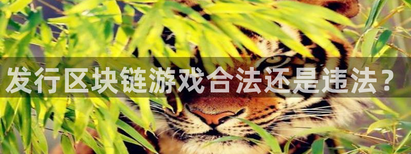 新宝GG官网平台是骗局吗：发行区块链游戏合法还是违法？