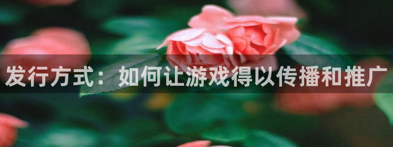 新宝GG官网注册地址查询：发行方式：如何让游戏得以传播和推广