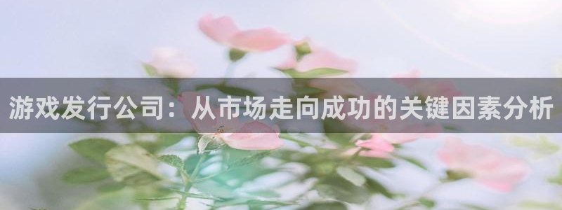 新宝GG子文化创意加好友：游戏发行公司：从市场走向成功的关键因素分析