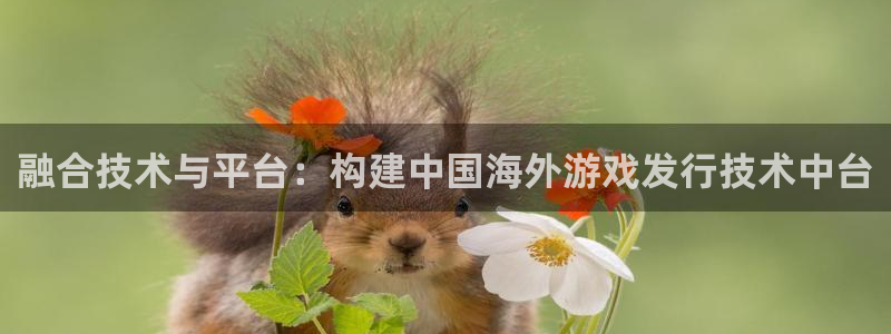 新宝GG子文化是干什么的