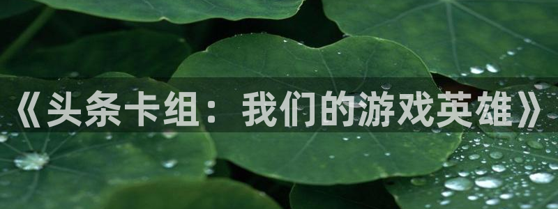新宝GG子寓意：《头条卡组：我们的游戏英雄》