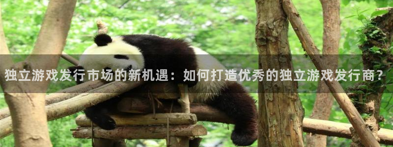 lvnces新宝GG衣服：独立游戏发行市场的新机遇：如何打造优秀的独立游戏发行商？