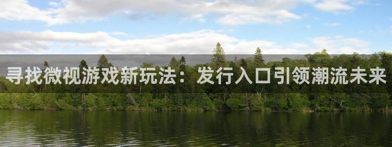 新宝GG官网注册平台怎么注册账号：寻找微视游戏新玩法：发行入口引领潮流未来