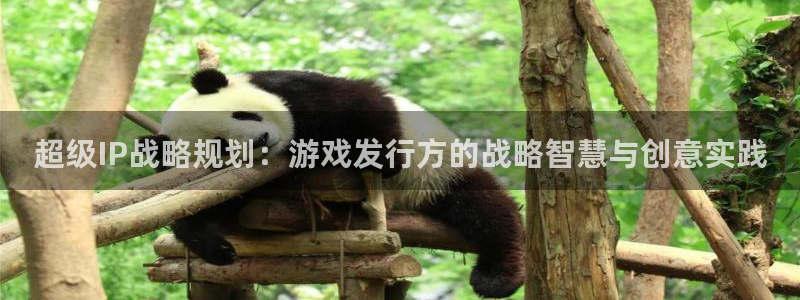 新宝GG官网注册方法是什么软件