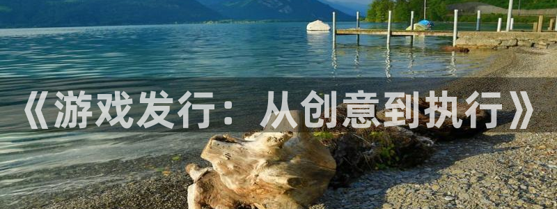新宝GG娱乐测速官网：《游戏发行：从创意到执行》
