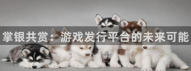 作者新宝GG子小说：掌银共赏：游戏发行平台的未来可能