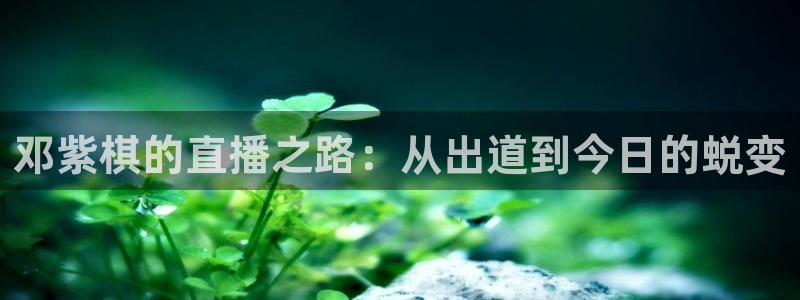 免费看咪咕直播：邓紫棋的直播之路：从出道到今日的蜕变