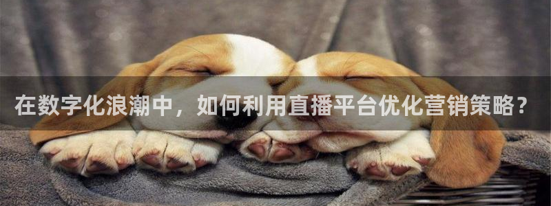 咪咕体育免费直播在线观看：在数字化浪潮中，如何利用直播平台优化营销策略？