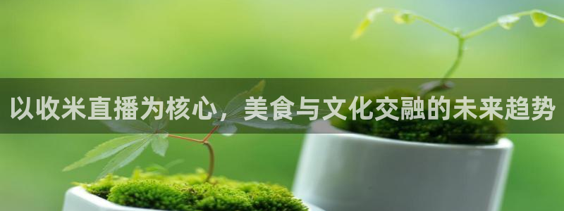咪咕体育赛事直播：以收米直播为核心，美食与文化交融的未来趋势