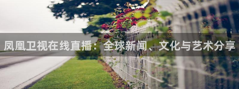咪咕篮球直播在线观看：凤凰卫视在线直播：全球新闻、文化与艺术分享