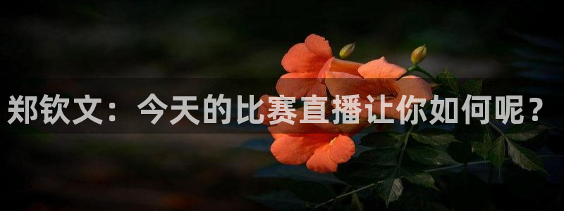 咪咕视频体育频道直播：郑钦文：今天的比赛直播让你如何呢？