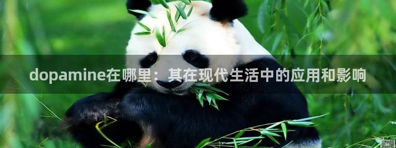 咪咕体育乒乓球直播在线观看：dopamine在哪里：其在现代生活中的应用和影响