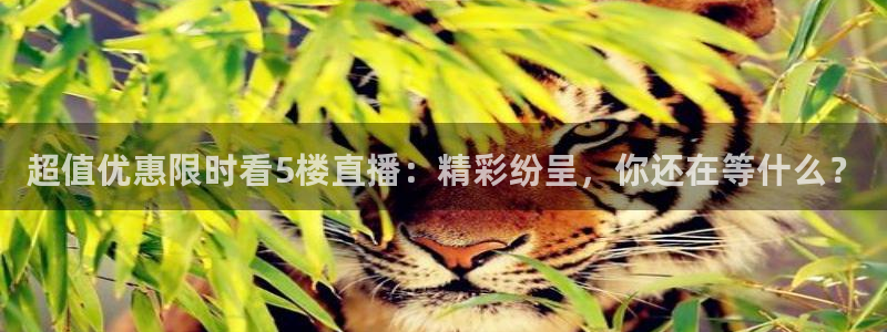 咪咕体育直播：超值优惠限时看5楼直播：精彩纷呈，你还在等什么？