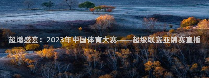 体育咪咕直播：超燃盛宴：2023年中国体育大赛——超级联赛亚锦赛直播