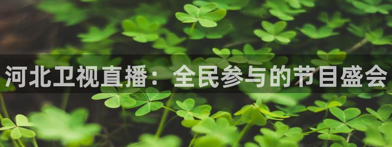 咪咕视频体育直播网页版：河北卫视直播：全民参与的节目盛会